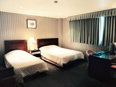 Airport Gimpo Hotel Seoul